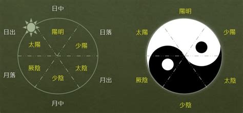 三陽三陰|中醫入門系列第五集：中醫的十二經脈